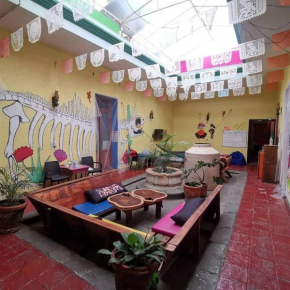 Iguana Hostel Oaxaca